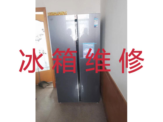 上海维修冰箱服务
